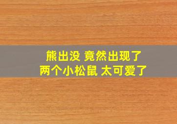 熊出没 竟然出现了两个小松鼠 太可爱了